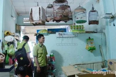 10 cá thể chim hoang dã bị nuôi nhốt được thả về tự nhiên