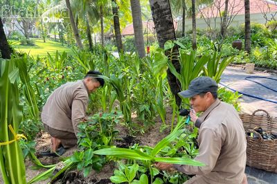 The Anam Foundation cam kết hằng năm sẽ đầu tư 1 tỷ đồng để trồng cây xanh