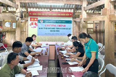 Hội Nông dân xã Tân Uyên ra mắt Tổ hội nghề nghiệp 'Trồng và chăm sóc quế'