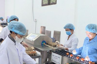 Khoa học công nghệ tạo giá trị cho 'Trứng gà thảo dược Đà Lạt'