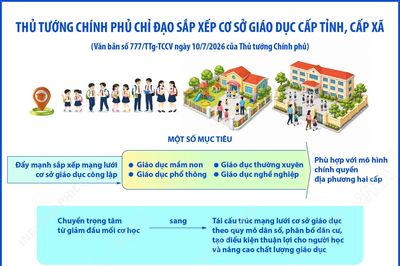 Thủ tướng Chính phủ chỉ đạo việc sắp xếp cơ sở giáo dục công lập cấp tỉnh, xã