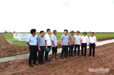 Lãnh đạo UBND tỉnh kiểm tra sản xuất lúa vụ Mùa năm 2026