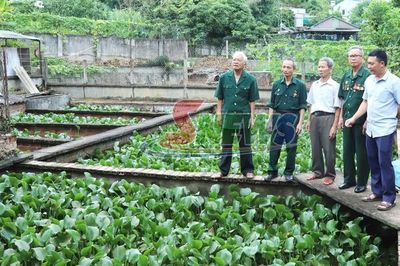 Chăm lo đời sống vật chất, tinh thần người có công