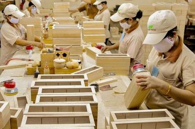 Gỡ điểm nghẽn vùng nguyên liệu để nâng sức cạnh tranh ngành gỗ