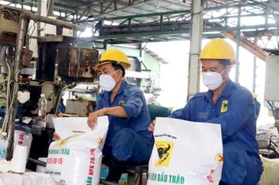 Phân bón Bình Điền: Lợi nhuận quý II giảm mạnh, tồn kho vượt 2.800 tỷ đồng