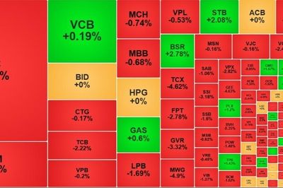 Thị trường chìm trong sắc đỏ, hơn 1.270 tỷ đồng 'giải cứu' cổ phiếu PNJ