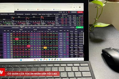 'Ngâm' thông tin, 2 công ty bị Ủy ban Chứng khoán Nhà nước phạt nặng
