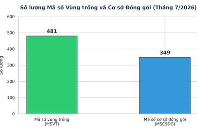 Mã số vùng trồng dẫn dắt liên kết sản xuất để đẩy mạnh xuất khẩu nông sản