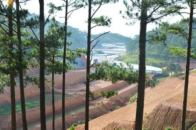 Chấn chỉnh công tác quản lý, bảo vệ rừng sau phản ánh của Báo Công an nhân dân