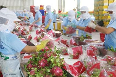 Chỉ dẫn địa lý mở rộng cánh cửa xuất khẩu cho nông sản Việt Nam