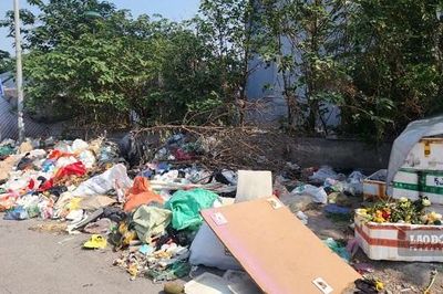 Đổ rác sai giờ, sai quy định, gây ô nhiễm môi trường