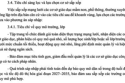 Quy mô trường phổ thông sau sáp nhập Thành phố Hồ Chí Minh không vượt quá 100 lớp