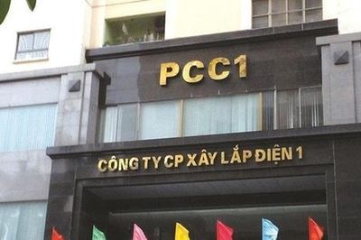Tập đoàn PC1 (PC1): Ái nữ 27 tuổi làm Chủ tịch, dòng vốn tổ chức ồ ạt đổ bộ