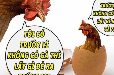 Con gà hay quả trứng có trước? 90% đều không biết câu trả lời đúng