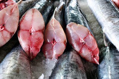 Chuyên gia cảnh báo 4 loại cá chứa thủy ngân cao nhất: Người tiêu dùng nên biết trước khi mua