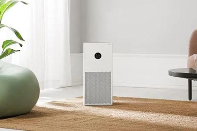 Mùi thuốc lá ám đầy phòng? 8 cách đơn giản giúp khử mùi nhanh, không cần dùng hóa chất mạnh