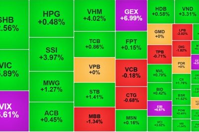Chứng khoán 23/7: Dòng tiền bắt đáy kéo VN-Index tăng 30,85 điểm
