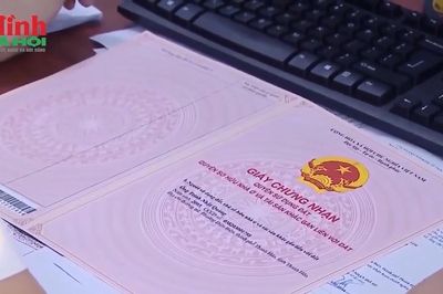3 bước cấp đổi sổ đỏ nhanh chóng, dễ dàng theo quy định mới