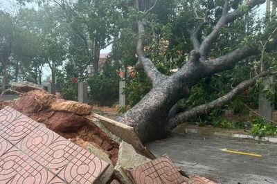 Chuyên gia nhận định về tác động của bão số 2 khi vào Biển Đông