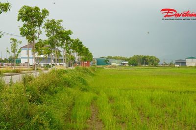 Đấu giá đất nông thôn ở Hà Tĩnh: Vì sao giá khởi điểm lên tới hơn 5,3 tỷ đồng?