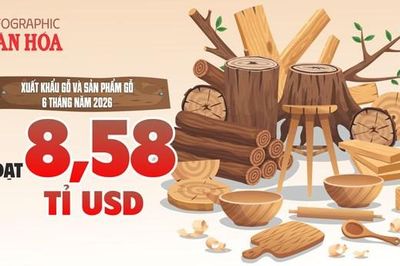 Xuất khẩu gỗ Việt Nam thu về 8,58 tỉ USD sau 6 tháng