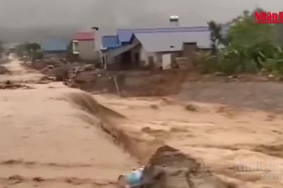[Video] Mưa lớn gây nhiều điểm sạt lở, ách tắc quốc lộ 32 và 279 tại Lai Châu