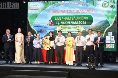 Lô sầu riêng đấu giá đầu tiên tại vườn ở Đắk Lắk trị giá gần 24 tỷ đồng