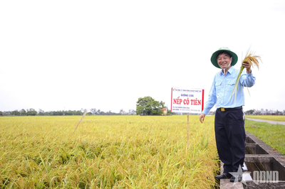 Mất tay phải, 'viết lại cuộc đời' bằng tay trái - Bài 1: Từ 'coi như chết rồi' đến giảng đường đại học
