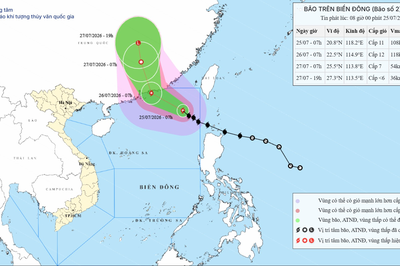Bão số 2 giữ nguyên hướng di chuyển, cách Hồng Kông (Trung Quốc) khoảng 510km