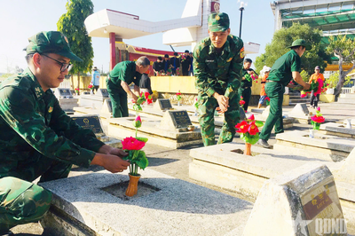 Quảng Ngãi: Thảo thơm những đóa sen hồng