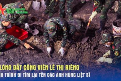 Từ lòng đất Công viên Lê Thị Riêng: Hành trình đi tìm lại tên các Anh hùng liệt sĩ