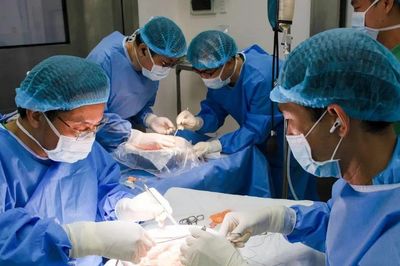 Bệnh viện Nhân dân 115 ghép thận lần 3 thành công cho người bệnh có bất thường mạch máu