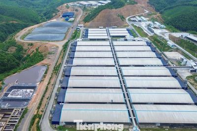 Một xã 'gánh' bảy trại lợn với quy mô hơn 100.000 con, chính quyền lo thành điểm nóng môi trường