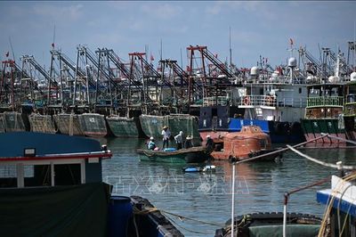 Trung Quốc tăng cường các biện pháp đối phó với bão Noul