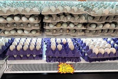 Mỹ ghi nhận gần 100 ca nhiễm khuẩn Salmonella liên quan trứng bị thu hồi