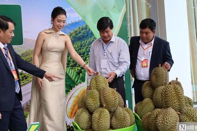 Lần đầu đấu giá sầu riêng tại vườn ở Đắk Lắk, doanh nghiệp trúng lô hàng 24 tỷ đồng