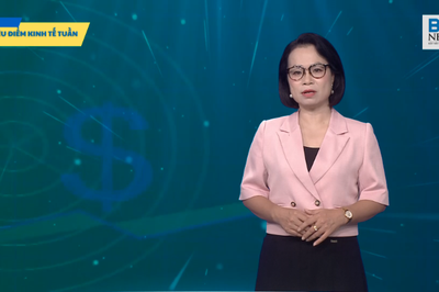 TIÊU ĐIỂM KINH TẾ TUẦN: Đảm bảo an toàn du lịch đường thủy