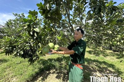 Tỏa sáng giữa đời thường