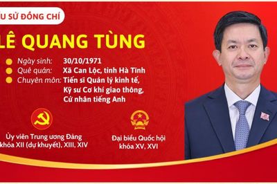 [Infographic] Tiểu sử tóm tắt của Bí thư Tỉnh ủy An Giang Lê Quang Tùng
