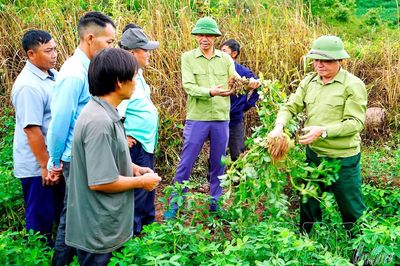 Quảng Lâm đẩy mạnh chuyển đổi cơ cấu cây trồng
