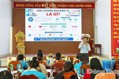 Đồng Tháp: Tập huấn nâng cao năng lực quản trị hợp tác xã