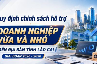 Quy định chính sách hỗ trợ doanh nghiệp vừa và nhỏ trên địa bàn tỉnh Lào Cai giai đoạn 2026 – 2030