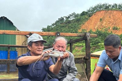 Nuôi cá bản địa trên dòng sông Đồng Nai