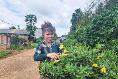 Tô Thị Hồng Vân - nữ cán bộ thôn dân tộc Tày đảm việc nước, giỏi việc nhà