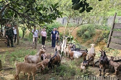 Điểm tựa giúp nông dân giảm nghèo bền vững