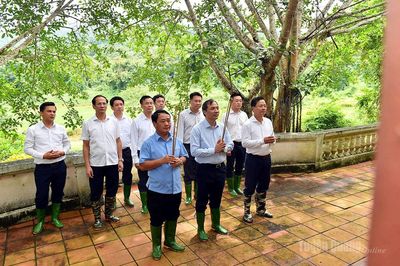 Đoàn công tác Ban Tổ chức Trung ương về nguồn tại Khu di tích quốc gia đặc biệt Tân Trào