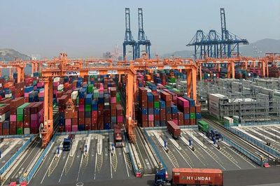 Những chuyến thực tế 'khai nhãn' tầm nhìn phát triển logistics