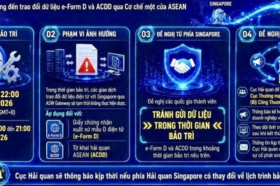 Ngày 25/7, hỏa tốc tạm dừng trao đổi e-Form D với Singapore do bảo trì hệ thống