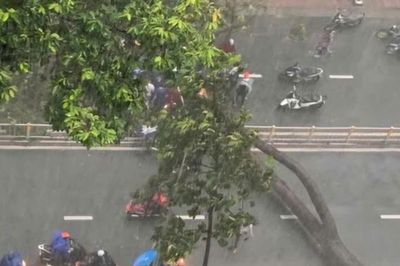 Dự báo thời tiết ngày 25/7: Bão NOUL tiến vào Biển Đông, mưa dông bao phủ diện rộng toàn quốc