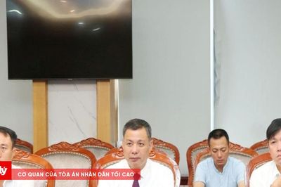 Sơn La tăng tốc các dự án lưới điện trọng điểm